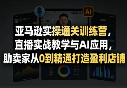 亚马逊实操通关训练营，直播实战教学与AI应用，助卖家从0到精通打造盈利店铺（更新4月17日）